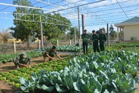 Thực hiện tốt chính sách hậu phương quân đội