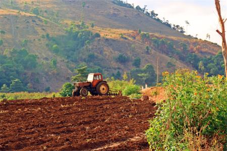 Phong cảnh Việt Nam, mỏ vàng của nhiếp ảnh