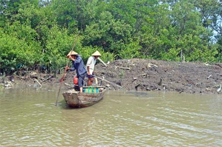 Rừng Cần Giờ - “chiếc áo tự nhiên” vô giá
