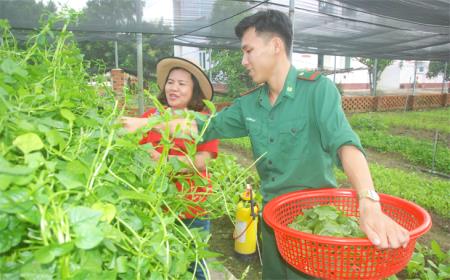 Hình ảnh chiến sĩ Biên phòng qua trang giáo án