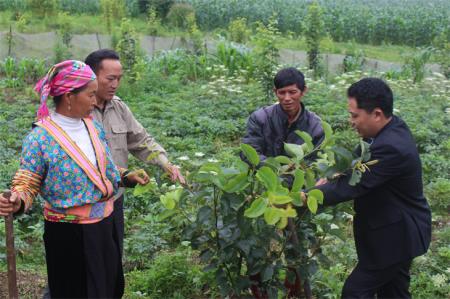 Hoàn thành thắng lợi các nhiệm vụ, giải pháp công tác dân tộc năm 2020