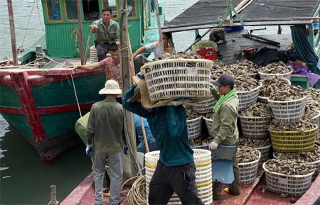 Kinh tế biển, đảo đang trở thành động lực phát triển đất nước