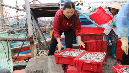 Khai thác thủy sản thích ứng với phòng, chống dịch Covid-19