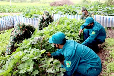 Chủ động thực phẩm tại chỗ, đảm bảo sức khỏe cho bộ đội hoàn thành tốt mọi nhiệm vụ