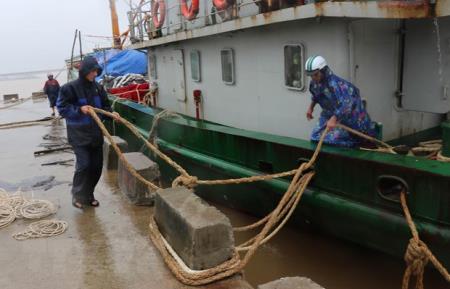 Quảng Trị, Phú Yên chủ động ứng phó với diễn biến áp thấp nhiệt đới