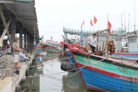 Ứng phó bão số 7: Sẵn sàng sơ tán hơn 260.000 người dân ven biển