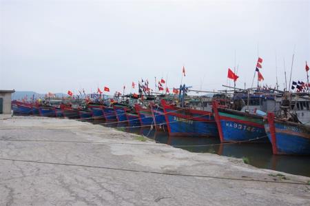 BĐBP các tỉnh Nghệ An, Thanh Hóa, Quảng Ninh triển khai các biện pháp phòng, chống bão