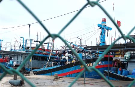 Tàu cá chạy bến vì dịch bệnh