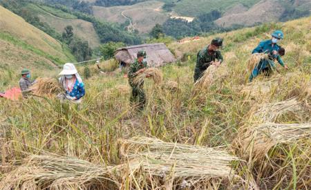Nghĩa tình quân dân trong đại dịch