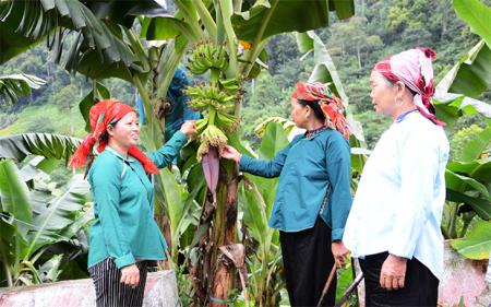 Linh hoạt thực hiện chính sách ở địa bàn vừa thoát nghèo