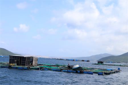 Dân “du mục” trên biển