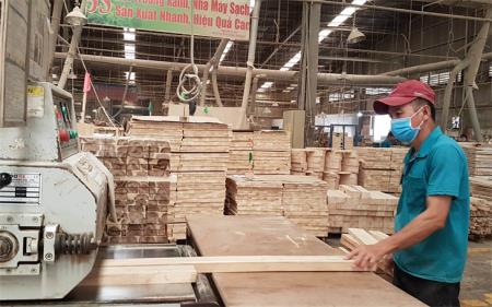 Phục hồi ngoạn mục
