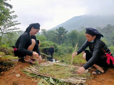 Lào Cai bảo tồn và phát triển nghề làm cốm