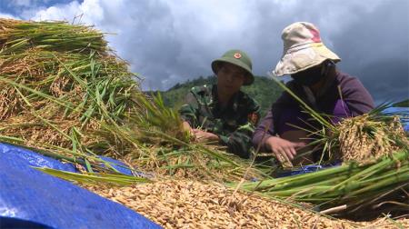 Phát huy hiệu quả mô hình kinh tế hộ gia đình ở biên giới trước tác động của dịch Covid-19