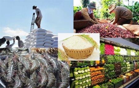 Mở thêm “cánh cửa” mới