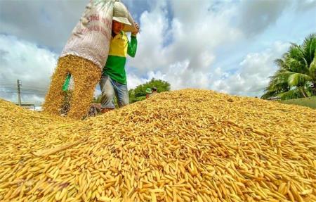 Ngành nông nghiệp vượt "bão" Covid, đạt 8 thành tựu nổi bật năm 2021