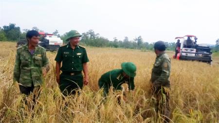 Đưa “vùng xanh Ia Mơ” vững vàng vượt qua đại dịch Covid-19