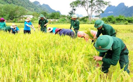 Sắc Xuân trên thung lũng Rục Làn