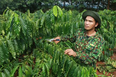 Dân làm theo “túi tiền” của trưởng thôn