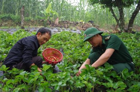Những người “thắp lửa” biên cương