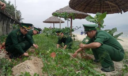 Cho mùa Xuân biên cương thêm xanh