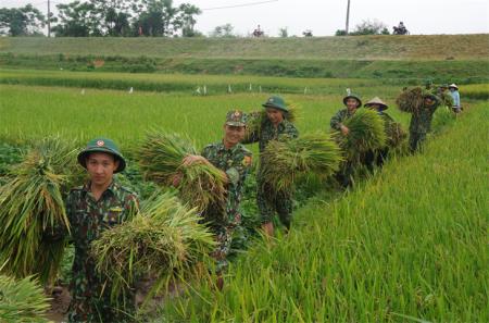 Những khát vọng xanh