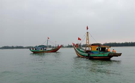 Bắt 5 tàu cá khai thác sai quy định