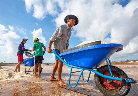 Nhọc nhằn đời diêm dân