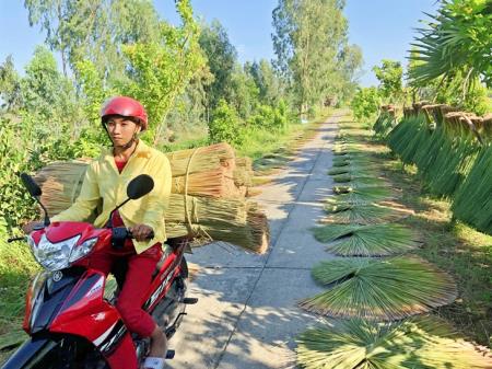 Phú Mỹ nỗ lực giữ nghề đan cỏ bàng truyền thống