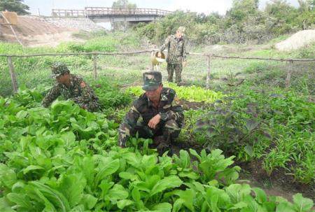 Màu xanh trên chốt phòng, chống dịch Covid-19