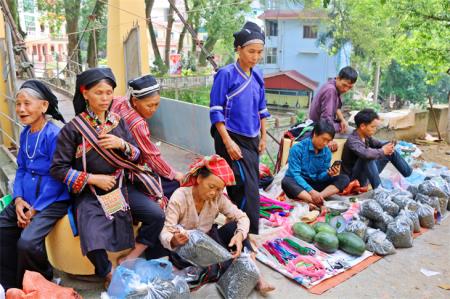 Gắn kết du lịch với hương trà Tây Côn Lĩnh
