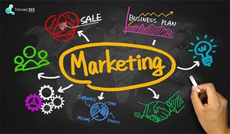 Tìm hiểu mô tả công việc nhân viên marketing cùng Timviec365.com.vn