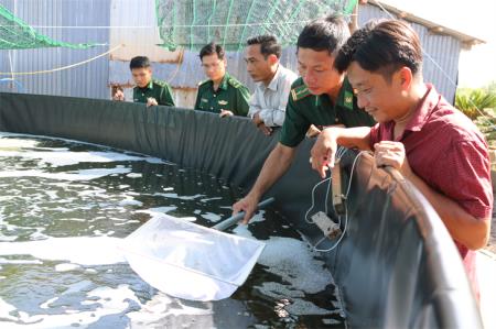 Sống khỏe nhờ rừng ngập mặn