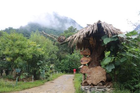Phát triển tiềm năng du lịch Lai Châu