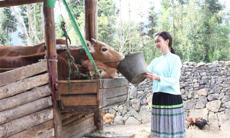 “Luồng gió mới” trong công tác tuyên truyền dân tộc thiểu số và miền núi