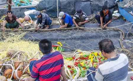 Tăng hiệu quả đánh bắt nhờ lưới kim tuyến
