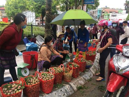 Gian nan bài toán tiêu thụ nông sản trong bối cảnh dịch Covid-19