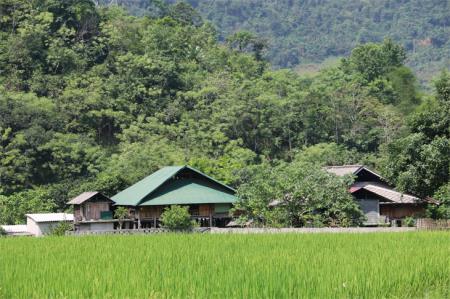 Bức tranh đẹp nơi biên giới phía Bắc