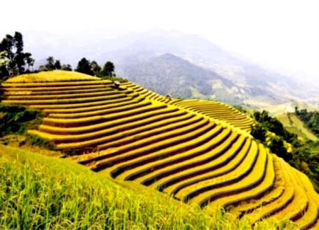 Tuần văn hóa du lịch "Qua những miền di sản ruộng bậc thang Hoàng Su Phì"