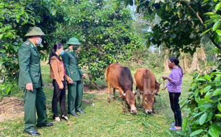 Tạo dựng các mô hình sinh kế bền vững cho phụ nữ nghèo biên giới