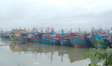Đánh thức tiềm lực nghề cá của thành phố Đà Nẵng