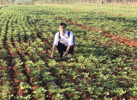 Bảo tồn gắn với phát triển cây dược liệu thành hàng hóa