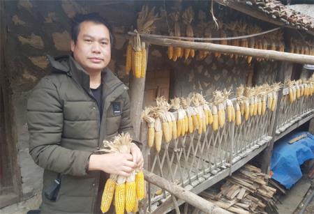 Bám dân “gỡ” khó làm giàu (bài 4)