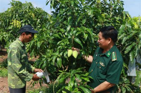 Kiên trì bám trụ làm giàu ở biên giới