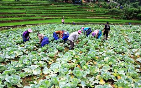 Thấy gì từ những con số? (bài 3)