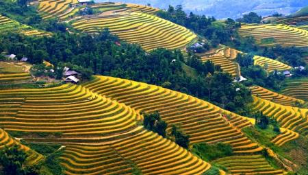 Dừng tổ chức Tuần văn hóa du lịch "Qua những miền di sản ruộng bậc thang Hoàng Su Phì" lần thứ VI