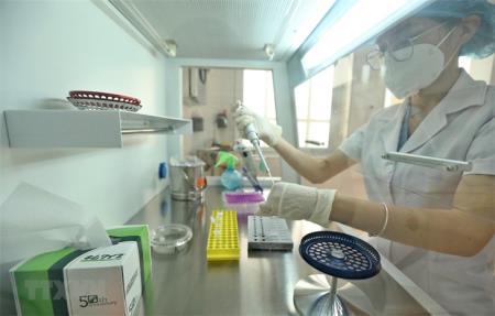 Ngày 21-1: Ghi nhận thêm 177 ca tử vong, có 4.567 bệnh nhân nặng