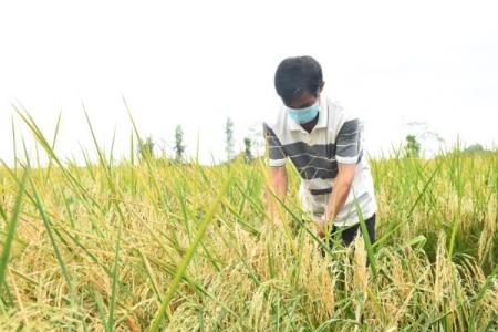 Niềm vui trở lại ở “vùng xanh” vùng dân tộc thiểu số