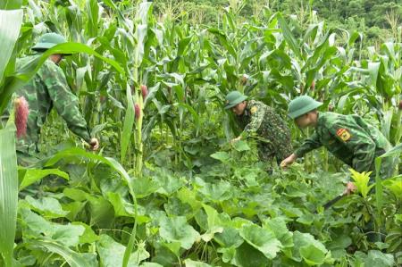 Nỗ lực vượt khó xây dựng mô hình VAC ở Đồn Biên phòng Pù Nhi
