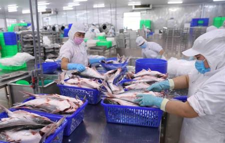 Nghị quyết 128: Chìa khóa hóa giải khó khăn, thực hiện mục tiêu kép
